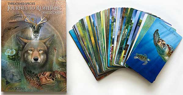 Animal Totem Oracle Cards Prototype