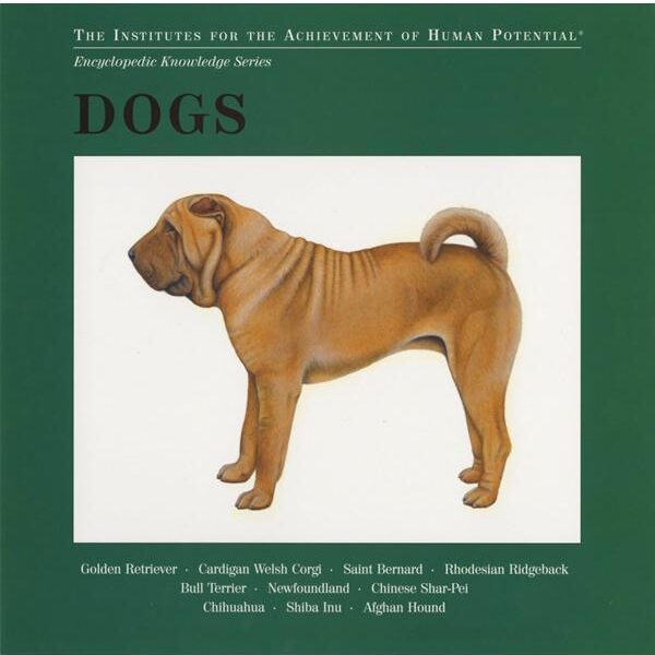 Dog paintings for flash card set by Mia Bosna