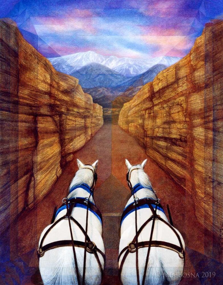 DorriePortrait©MiaBosna