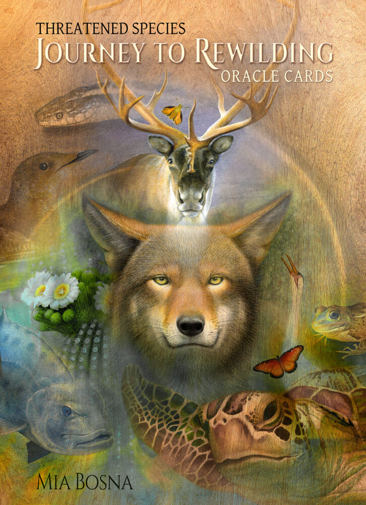 MiaBosna-Oracle Cards