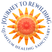 J2R-LogoMaster-MiaBosna