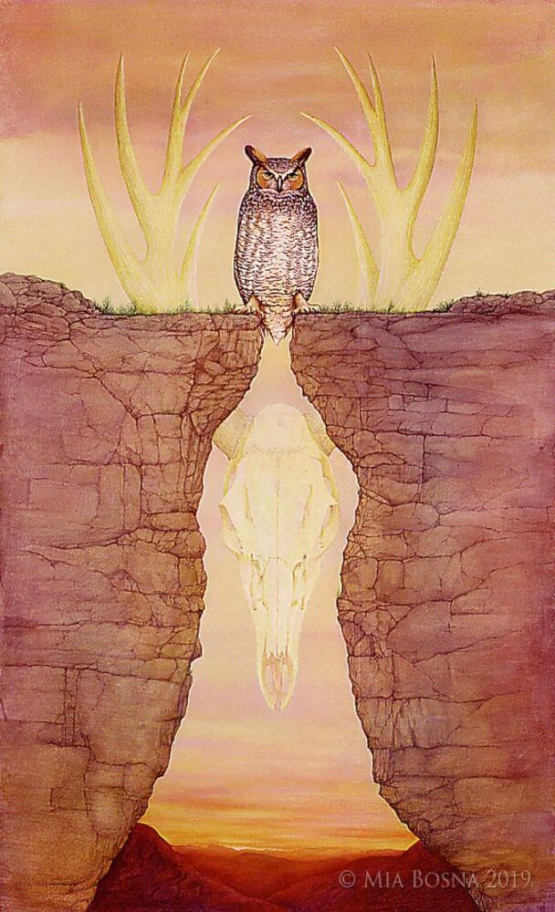 JoyceElliot=MiaBosna