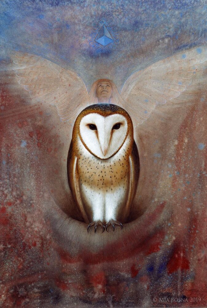 LaurieValkenberg-MBosna