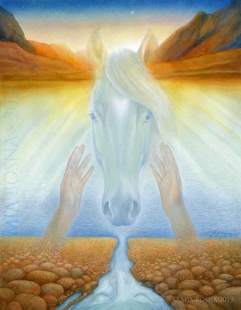 Transformation=MiaBosnaWM