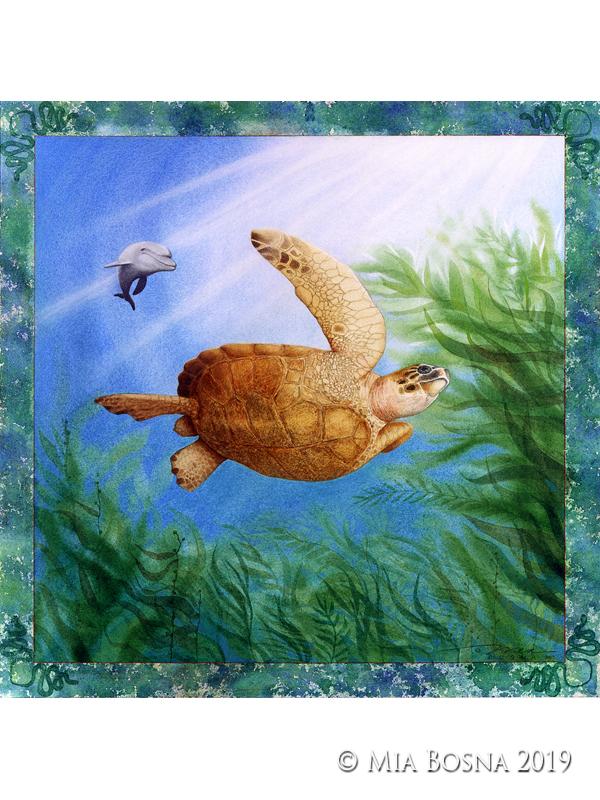 Sea turtle and dolphin