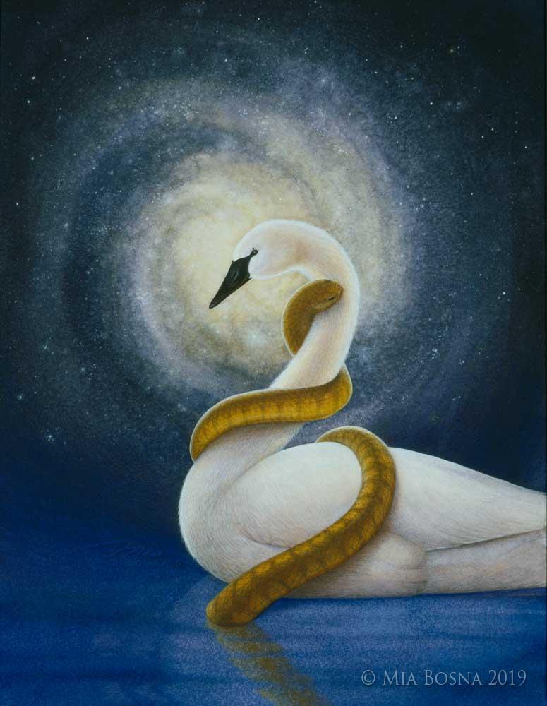 WeatherSprts-MiaBosna