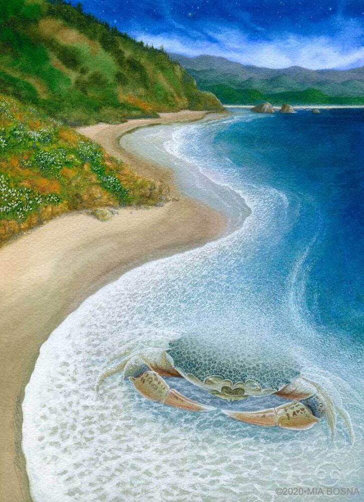 Cancer Print by Mia Bosna