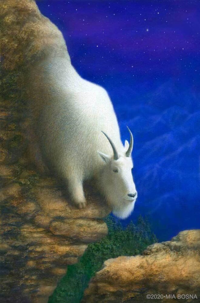 Capricorn Print by Mia Bosna