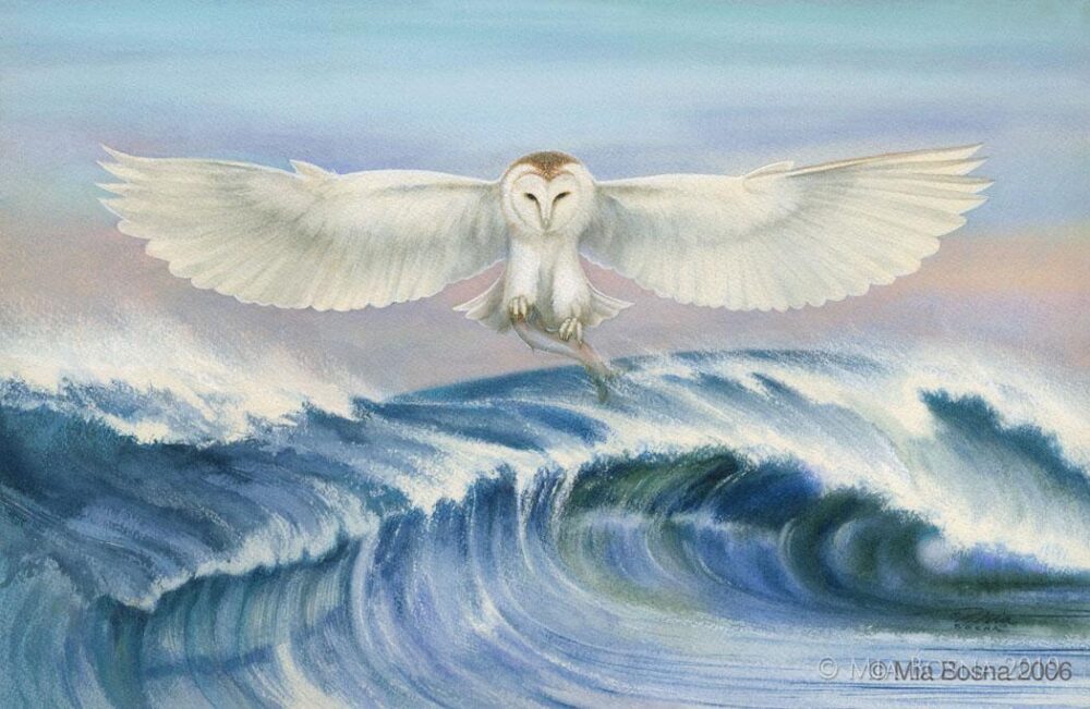 ©MiaBosna-fishingOwl